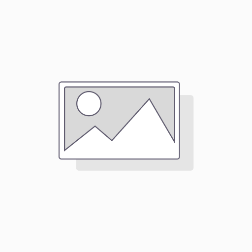 Consulting Flatrate